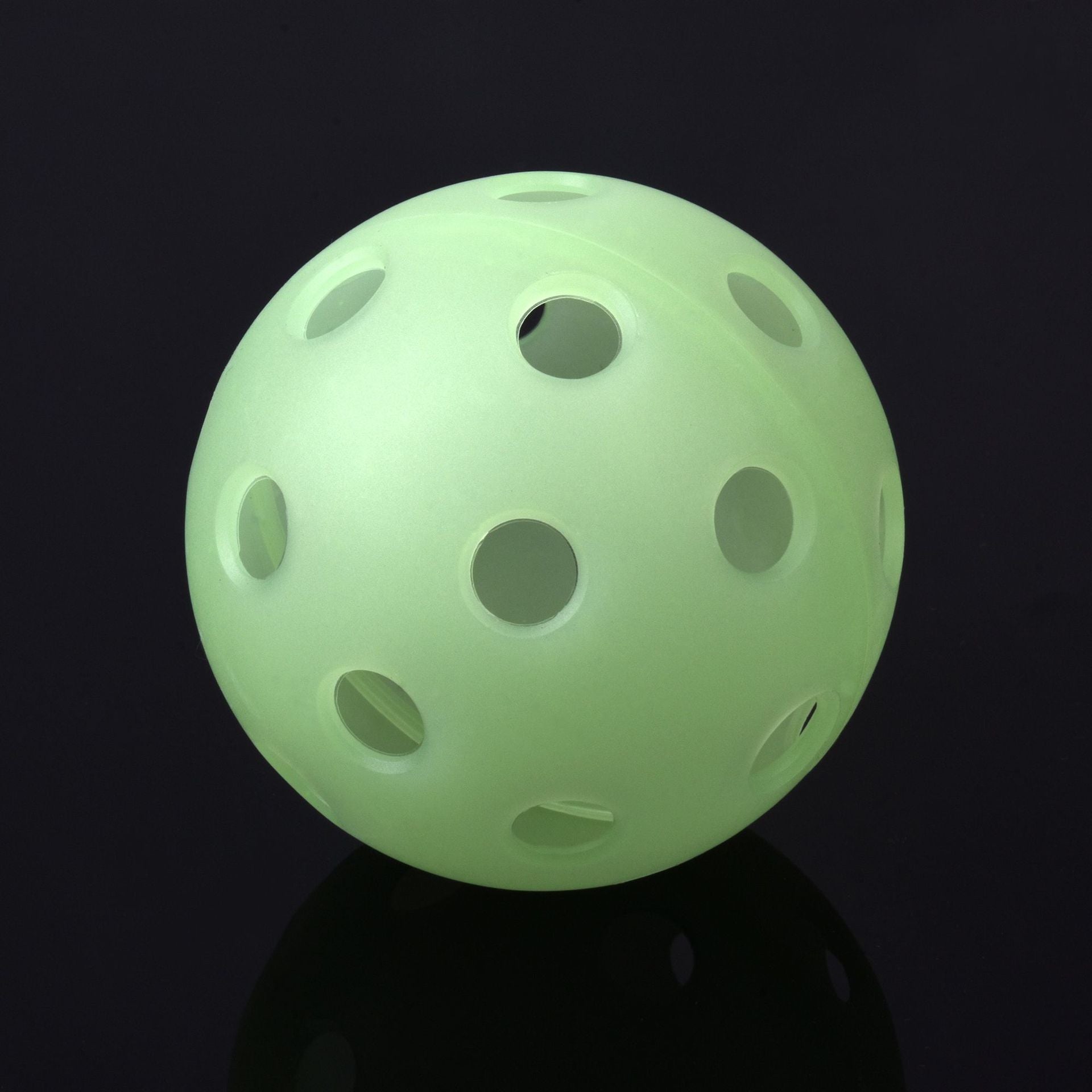 Outdoor Pickleball Set with 40 & 26 Hole Balls